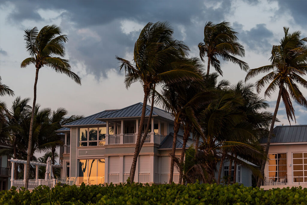 a home in florida with wind blown palm trees